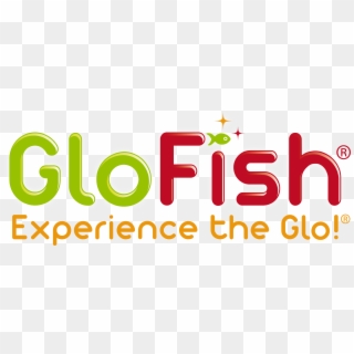 Glofish, HD Png Download
