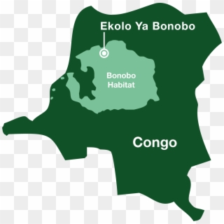 Ekolo Map - Map Of Where Bonobos Live, HD Png Download