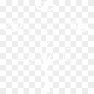 Caca - Oak, HD Png Download