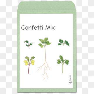Confettimix - Herbal, HD Png Download
