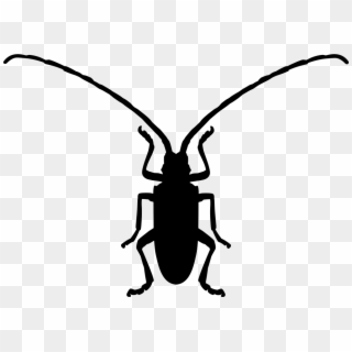 Fungus Beetle Insect Shape Comments - Käfer Symbol, HD Png Download