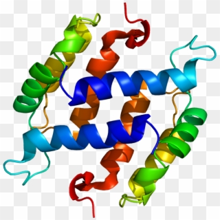 S100b Protein, HD Png Download