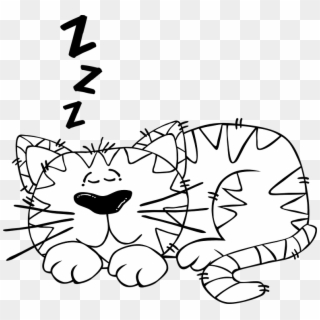 Cat Sleeping Asleep Cute Cartoon Z's Animal - Nap Clipart Black And White, HD Png Download