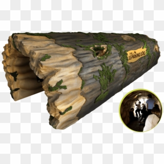 Imagine A Giant Fallen Tree, Hollowed Out And , Png - Tree, Transparent Png