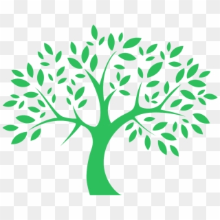 Tree Graphic, HD Png Download