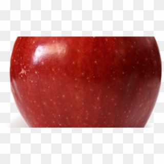 This Apple Has Fallen Far From The Tree Red Delicious - Mcintosh, HD Png Download