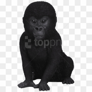 Free Png Download Gorilla Png Png Images Background - Baby Gorilla No Background, Transparent Png
