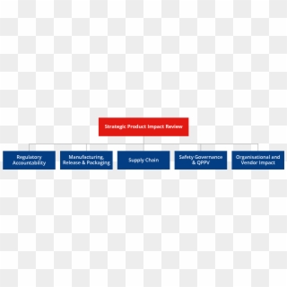 Brexit Transition Services - Organization Chart Of Qppv, HD Png Download