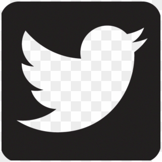 Twitter Icon Black - Twitter Black Icon Png, Transparent Png