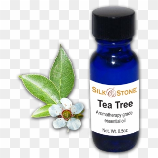 Tea Tree Esential Oil - Jasmine, HD Png Download