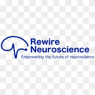 Rewire Neuroscience Is A Portland Startup Providing - Museum Of Science, HD Png Download
