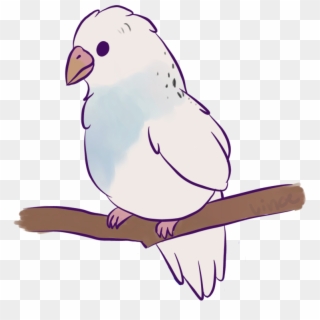 Clipart Freeuse Birb Drawing - Budgie, HD Png Download