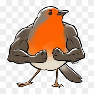 Do You Accept Drawings Of Birds With Arms, Too - Birds With Arms Cartoon, HD Png Download