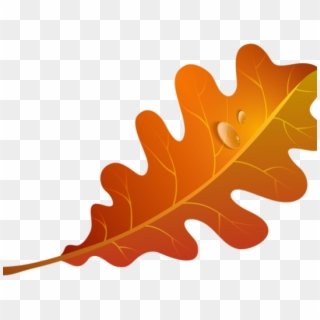 Autumn Leaves Clipart Orange Leaf - Orange Fall Leaf Clip Art, HD Png Download