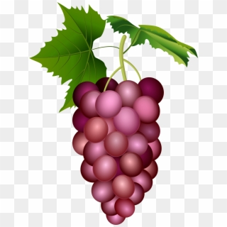 Red Grape Png Clip Art Image, Transparent Png
