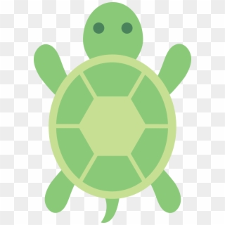 Cartoon Turtle Pictures Free Download Clip Art Png - Cartoon Sea Turtle Back, Transparent Png