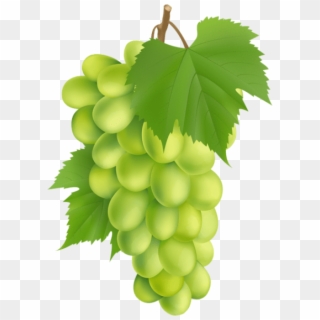 Free Png White Grape Png - Portable Network Graphics, Transparent Png