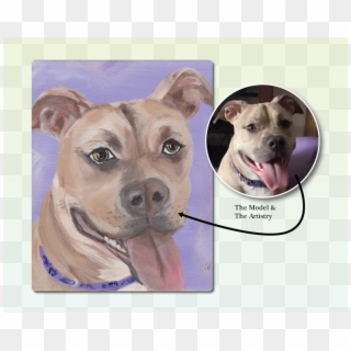 Violet Pitbull - American Pit Bull Terrier, HD Png Download