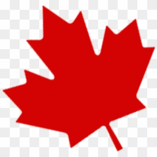 850 X 815 7 - Canadian Maple Leaf Transparent Background, HD Png Download