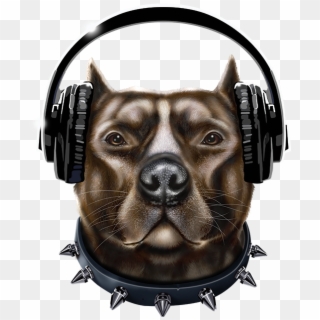 Pitbull Dog Wearing Headphones, HD Png Download