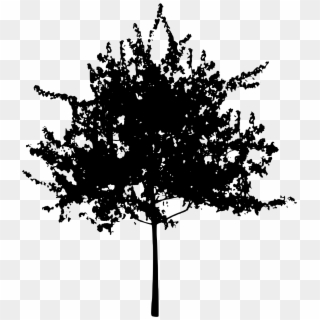 Clip Arts Related To - Tree Silhouette Cartoon Png, Transparent Png