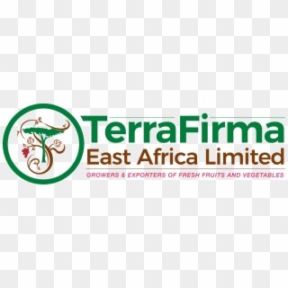 Terrafirma New Logo Terrafirma - Graphic Design, HD Png Download