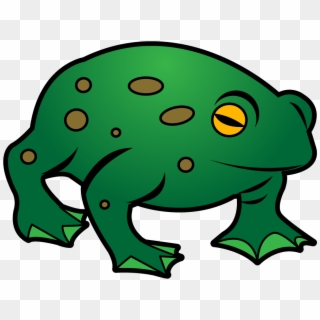 Free - Toad Clipart, HD Png Download