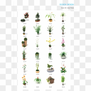 Attractive Quantity Discounts Up To 20% Are Displayed - Types Of Indoor Plants, HD Png Download
