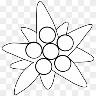 Edelweiss Png, Transparent Png