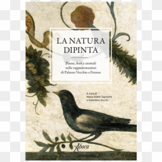 Picture Of La Natura Dipinta - Rusty Blackbird, HD Png Download