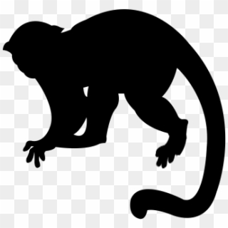 Monkey Silhouette Png - Capuchin Monkey Silhouette Png, Transparent Png
