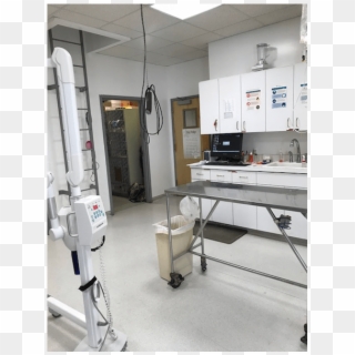 Treatment Room At Bolton Animal Hospital In Albuquerque - Floor, HD Png Download