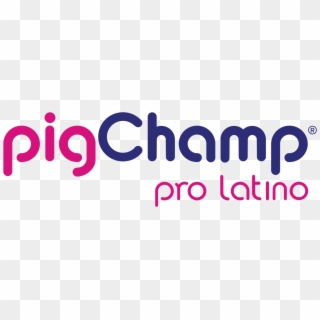 Pigchamp Pro Latino - Graphic Design, HD Png Download