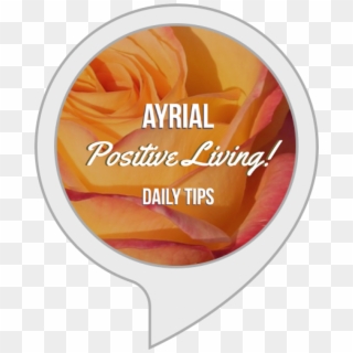 View Larger Image Ayrial Positive Living Daily Tips - Wall Clock, HD Png Download