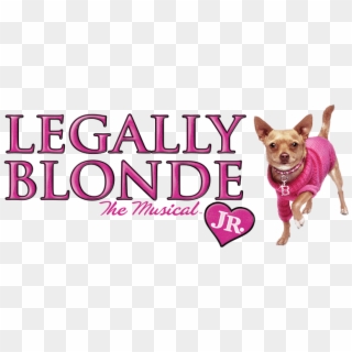 Sign - Legally Blonde Jr Logo, HD Png Download