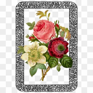 Vintage Rose Bouquet Framed Ornate Decorate - Illustration Of A Flower, HD Png Download