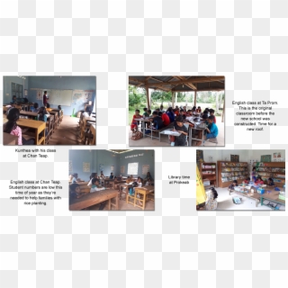 Banyan Tree Organization Student Activities - Classroom, HD Png Download