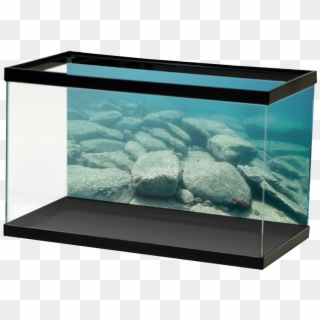 Aquariumvinyl Bigoleriverrocks - Mirror Background Aquarium, HD Png Download