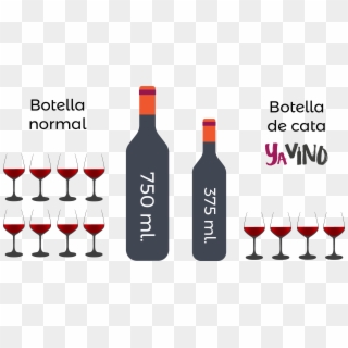 4 Copas De Vino Por Botella De Cata - Wine Bottle, HD Png Download