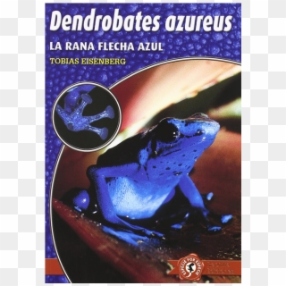 Dendrobates Azureus - Blue Poison Dart Frog, HD Png Download