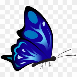 Butterfly Colorful Blue - Schmetterling Von Der Seite, HD Png Download