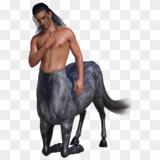Man Horse Mythical Creatures Body Figure Male 3d - Man Horse, HD Png Download