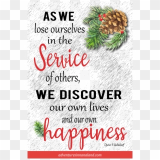 When We Lose Ourselves In The Service Of Others, We - Beira Rio Zapatos, HD Png Download