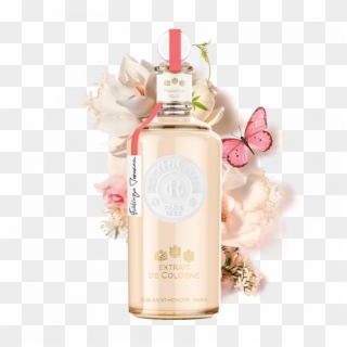 Official Website Discover Magnolia Folie Extrait De - Glass Bottle, HD Png Download
