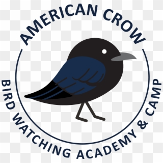American Crow - America's Most Just Companies, HD Png Download