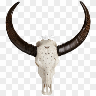 Indian Buffalo Skull, HD Png Download