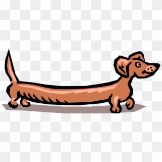 Vector Illustration Of Cartoon Wiener Dog Dachshund - Weiner Dog Clip Art, HD Png Download