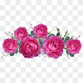 Roses, Gypsophila, Flowers, Arrangement, Garden, Nature - Garden Roses, HD Png Download