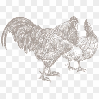 Poultry, Class - Animal Husbandry, HD Png Download