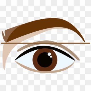 How To Shape Your Brows At Home - Brown Eyebrow Cartoon, HD Png Download